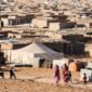 Skandal Penyelewengan Bantuan Kemanusiaan di Kamp Tindouf: Keuangan Polisario Dipertanyakan, Wilson Lalengke Desak Pembubaran Kamp
